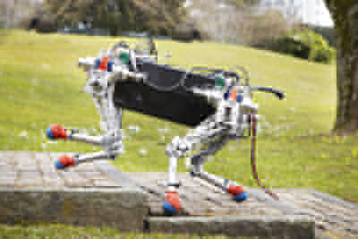 Starleth quadruped