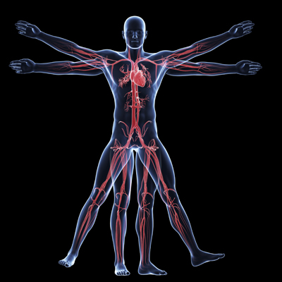 Vitruvian Man in x-ray